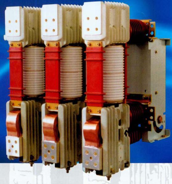 ZN65-12KV真空断路器 